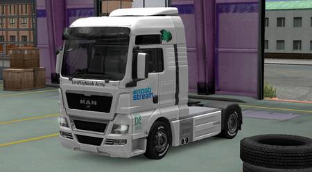 MAN TGX LPN05 Skin v 1.0 для Euro Truck Simulator 2