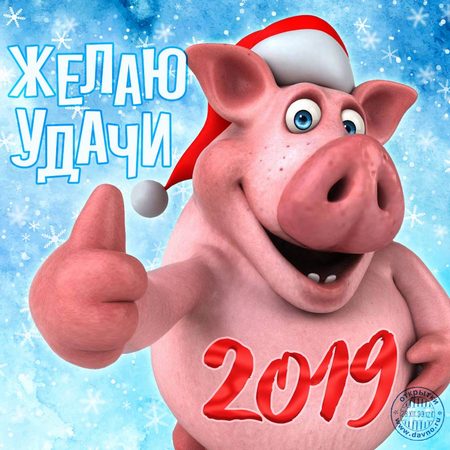 С Новым Годом 2019!